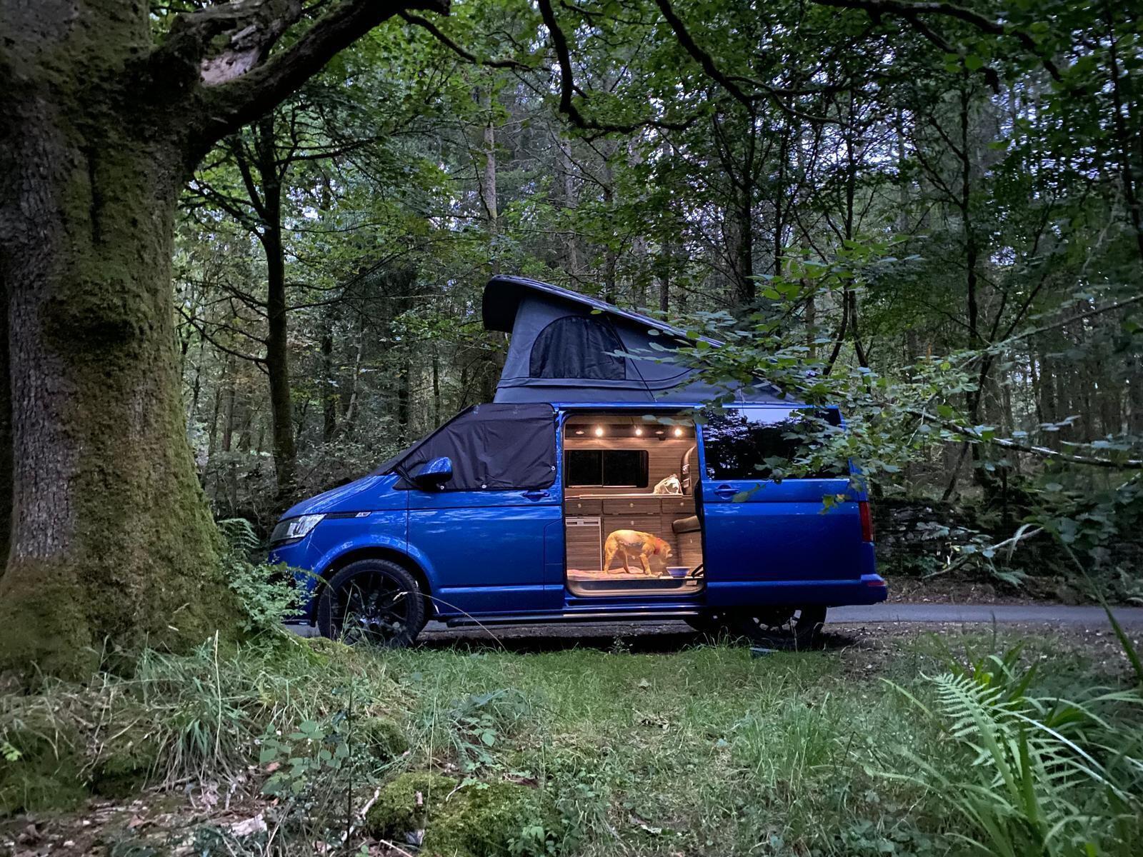 2020 Volkswagen T6.1 Campervan